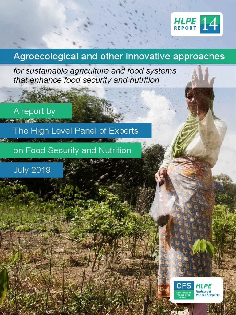 HLPE 2019 Agroecological and Other Innovative Approaches For  