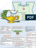 SALUD OCUPACIONAL MAPA.pdf