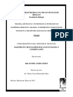 Bajo Balsas Mich Riqueza - Abundancia - y - Patrones - de - Activid PDF