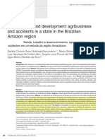 Health, Work, and Development: Agribusiness and Accidents in A State in The Brazilian Amazon Region