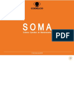 Manual Soma - Vkpi