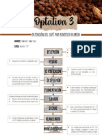 Optativa Diagrama