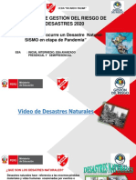 Proyecto Gestion de Riesgo 2020 Eba RP PDF