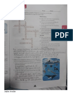 P Indagadores PDF