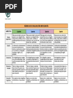 Rubrica Infografia