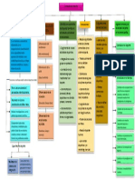 Mapa Conceptual Ciencias Del Deporte