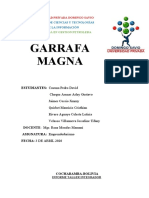 Informe Garrafa Magna Mejorado-1