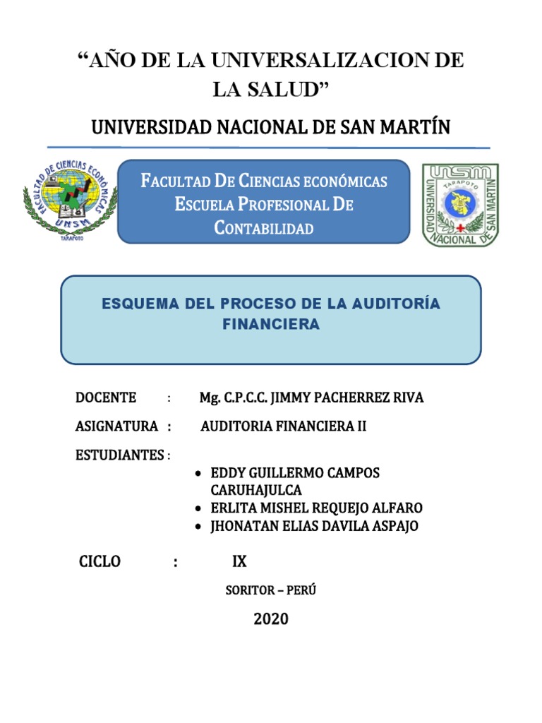 Esquema Del Proceso de La Auditoria Financiera | PDF | Auditoría ...