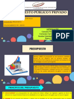 DIAPOSITIVAS PRESUPUESTO PUBLICO Y PRIVADO - PRESUPUESTO VIII - 202002.