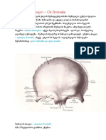 Os frontale-შუბლის ძვალი