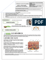 8° Guía #7 Los Sentidos