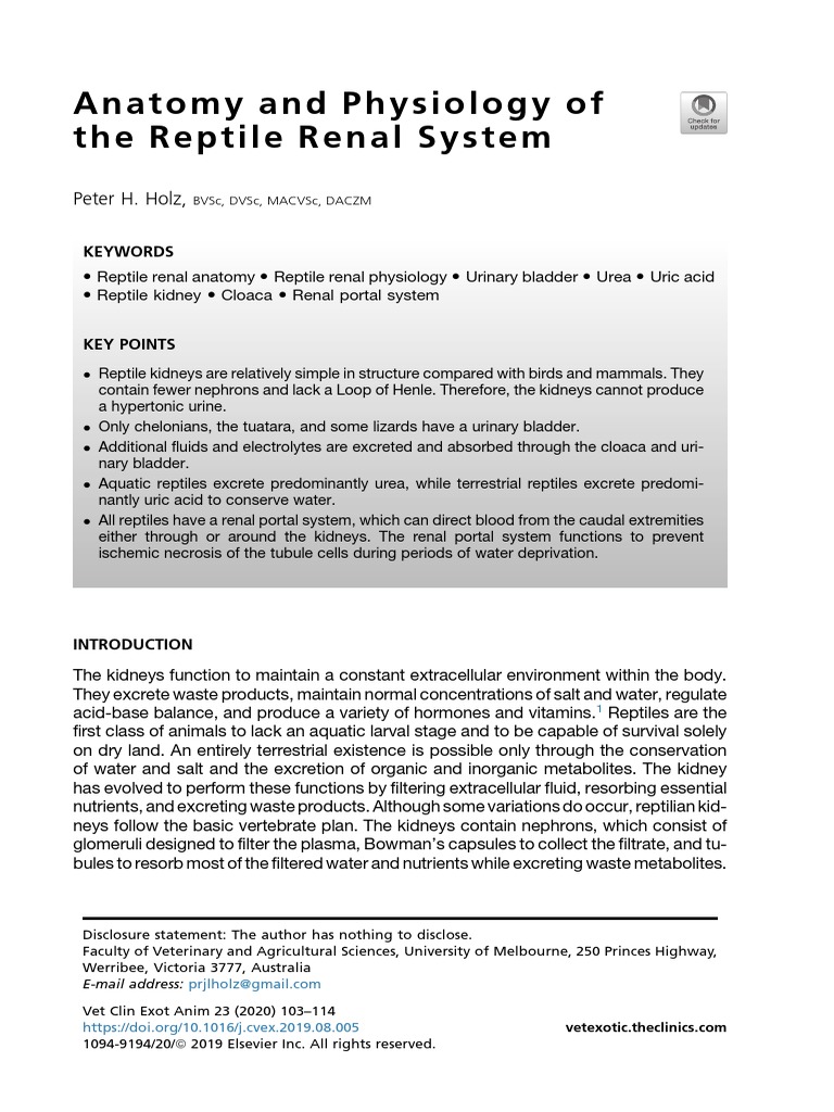 Reptile Renal Failure