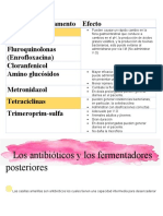 Los Antibióticos y Los Fermentadores Posteriores