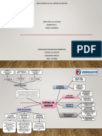 PDF - Control de Gestion Mapa