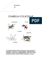 parasitologia FAMÍLIA CULICINAE.docx