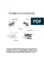 parasitologia FAMÍLIA CULICINAE