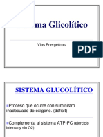 SISTEMA_GLUCOLITICO