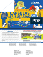 Capsulas Tributarias PDF