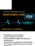 Anatomia Cardiaca