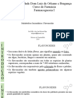 Aula 14- Metabólitos Secundários Flavonoides