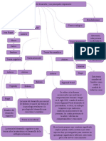 Mapa Conceptual-Psicologia Evolutiva