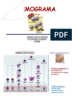 Hemograma Usjb PDF