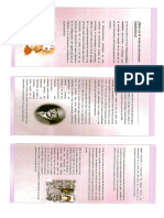 Folleto - PSC.pdf