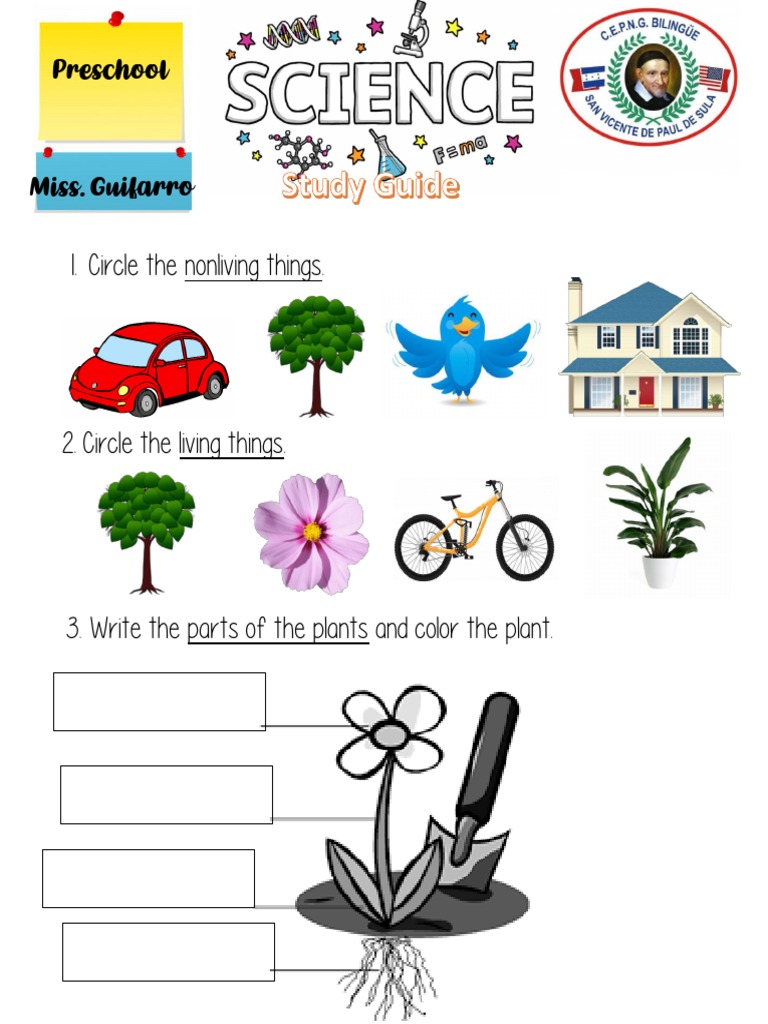 Science Study Guide | PDF