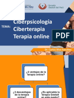 CIBERTERAPIA