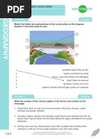 Worksheet: Environment (Acid Rain)