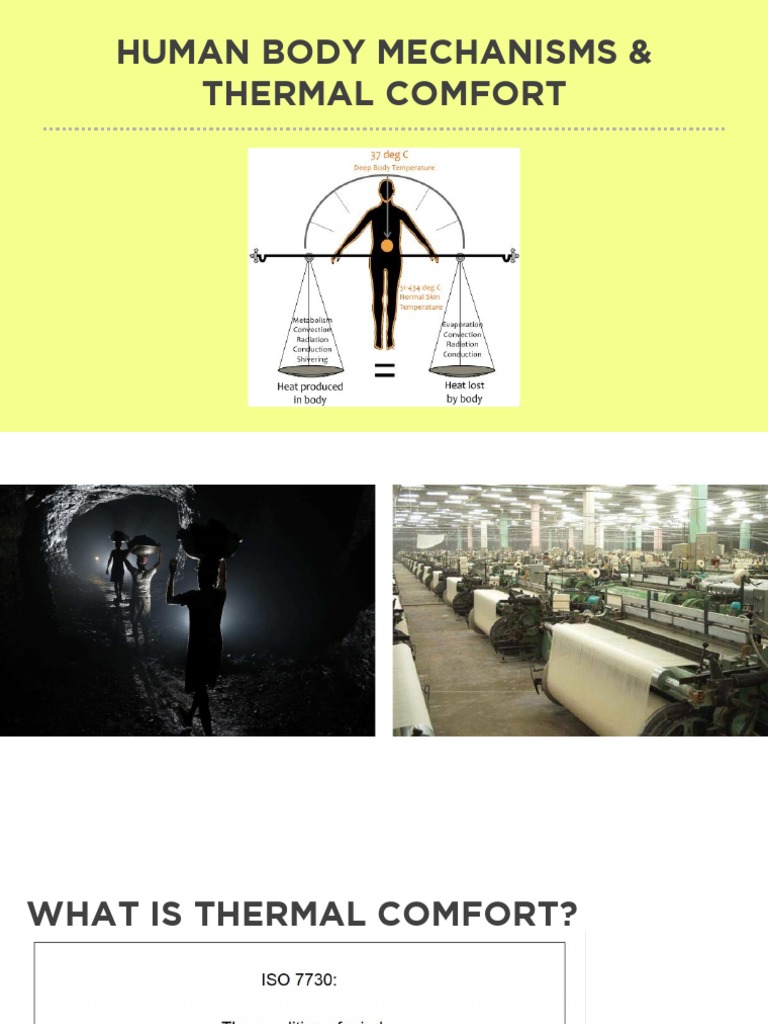 Understanding Thermal Comfort Factors | PDF | Heat Transfer | Heat