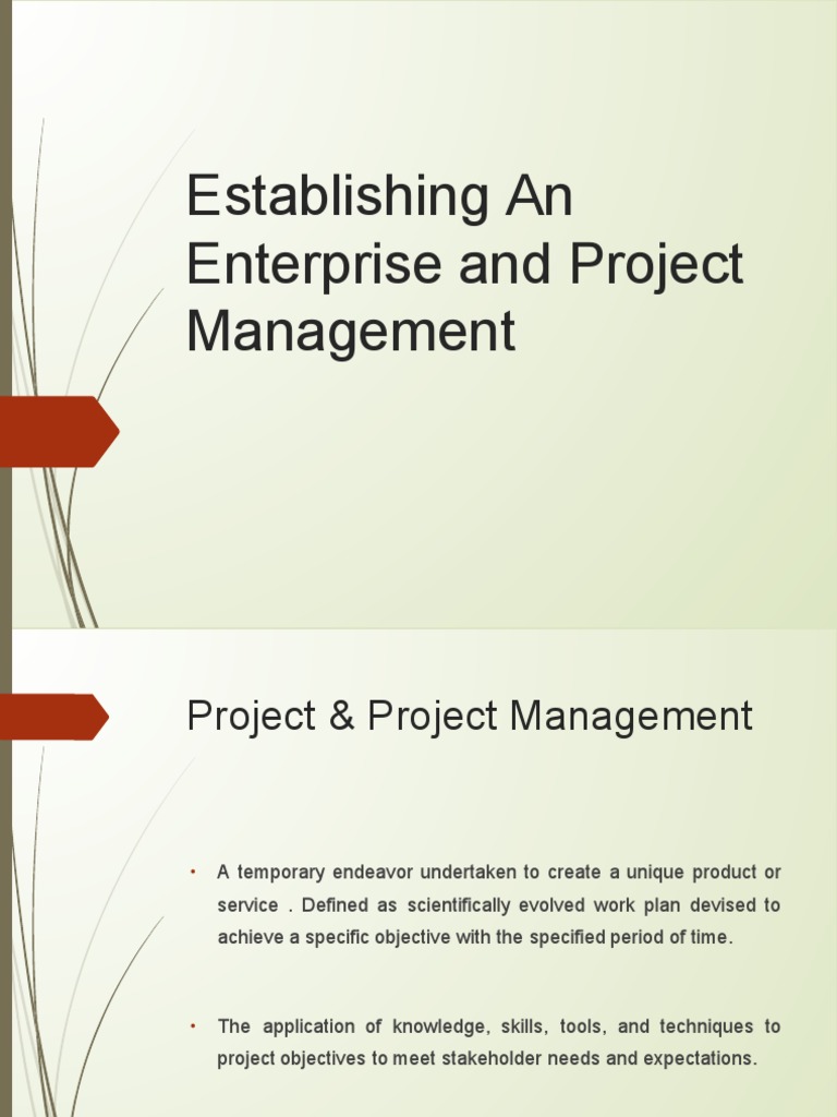 Project Management Essentials Guide | PDF | Feasibility Study | Project ...