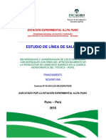Estudio Linea de Salida Del Bofedal PDF