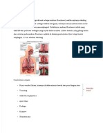 PDF Ruptur Esophagus