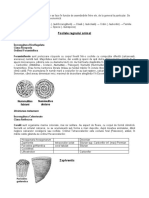 Paleontologie PDF