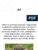 Jež