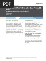 Forrester Enterprise - Data - Fabric - Wave - Q2 - 2020