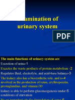 Examination of Urinary System