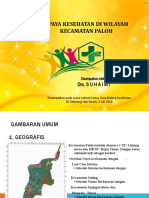 LOKMIN ZONA PALOH PPT