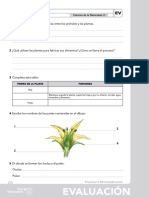 U02 - Eval 3º Anaya Aprender Es Crecer Naturales