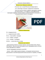 PDF Master-Klass Vyazanaya Konfetka