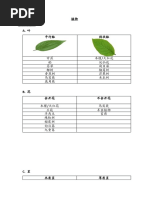 植物 Pdf