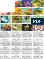 Animales Invertebrados.pdf