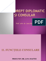 Functiile Consulare