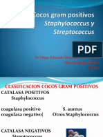 Cocos Gram Positivos PDF