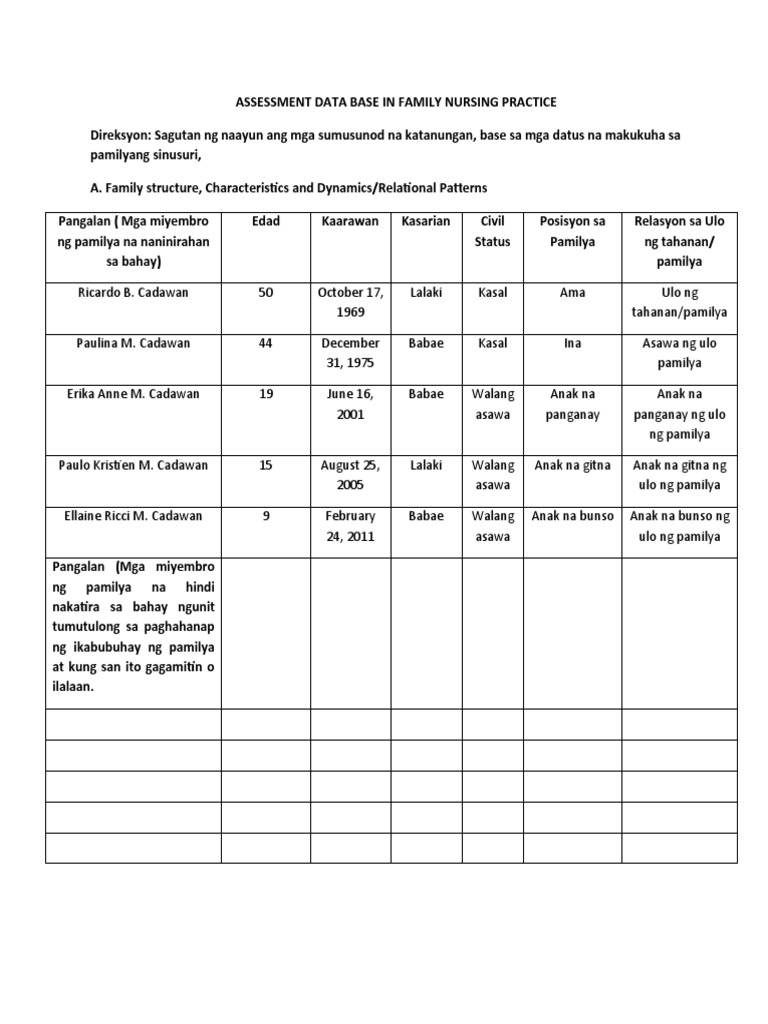 IDB Family Data Base Assessment | PDF