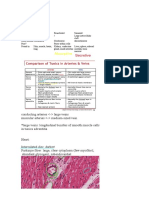 histology chl神notes！