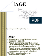 182145375-TRIAGE-ppt.ppt