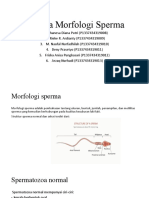 Analisa Morfologi Sperma