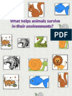 What Helps Animals Survive in Their Environments?